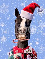 Hi-Look Microfiber Cleaning Cloth - Horse Christmas