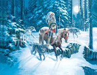 Hi-Look Microfiber Cleaning Cloth - First Snow