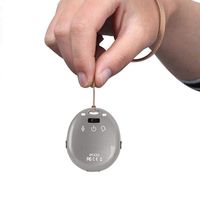 Keyring Voice Recorder,Micro Digital Voice Activated Recorder - Small 15 Hours Voice Recording & 10 Hours Music Player via USB Earphone - Noise Reduction Audio Recorder + 8GB Memor(Gray)