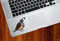 Bird - Quail - Stained Glass Style Opaque Vinyl Laptop MacBook Decal - Copyright 2015 Yadda-Yadda Design Co. (Size Choices) (SM 3"w x 2.5"h)