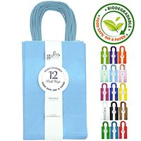 12CT Small Light Blue Biodegradable, Food Safe Ink & Paper, Premium Quality Paper (Sturdy & Thicker), Kraft Bag with Colored Sturdy Handle