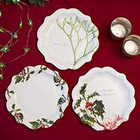 Talking Tables Botanical Christmas Disposable Plates, 12 count, for Christmas, Multicolor