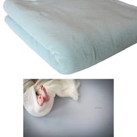 Solid Posing Fabric Backdrop, Photography Prop, 2 Yards, 25 Available Colors (Blue Rain)