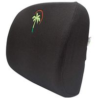 Palm Posture Back Support Lumbar Cushion Best Ergonomic Memory Foam Pillow for Women Men - Lower Pain Relief - Includes Extension & Carrying Bag (Black 3D Mesh)