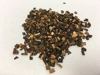 桂枝尖 | Cinnamon Twig