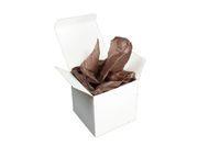 Verazui Espresso Pack of 25 White Favor Boxes 3x3x3 with Color Tissue Paper Sheets