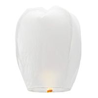 5 Pack Chinese Lanterns ECO Friendly - 100% Biodegradable- Beautiful Lanterns for Birthdays, Souvenirs