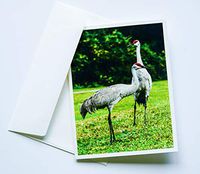 Bird Note Cards Original Elegant Photographic Textured White Blank 4.25"x 5.50" Boxed Set 8 W/Matching Envelopes In Plastic Jacket Thank You Invitations Birthdays Greetings Just Because