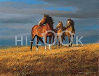 Hi-Look Microfiber Cleaning Cloth - On Alert