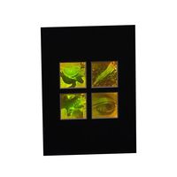 3D Nature 4-up 2-Channel Hologram Picture, Collectible Polaroid Photopolymer Film (Matted Only)
