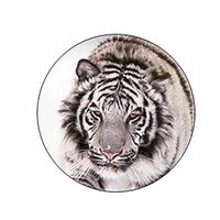 White Tiger Face Stickers - Gift Bag or Envelope Seals - Animal Theme Stationery Design - Party Favor Supplies - Set of 24