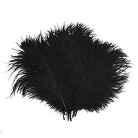 Happy Will 100 Pcs 15-20cm Real Natural Ostrich Feathers Great Decorations for Wedding Party (Black)