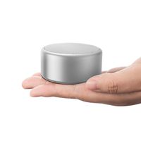 Bluetooth Wireless Speaker IPX7 Waterproof Portable Travel Ture Wireless Stereo (TWS) Speaker with Bluetooth 5.0, Bass up, Wireless Stereo Pairing/for Smartphones, Tablets, Laptops (1 Pack, Silver)