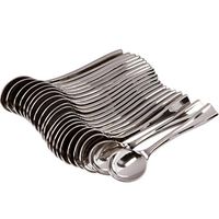 SimpleHomeCo. Premium Disposable Mini Dessert Spoons Silver 100 Pieces 4 Inches | Stainless Steel Finish | Heavy Duty Plastic Tasting Spoons | Perfect for Small Appetizers and Desserts