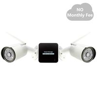 Wireless Mini Security Camera Storage Surveillance System, 2 Pack WiFi Night Vision Security IP Cameras, Design for   Home User, Easy to use, TT12CN-2