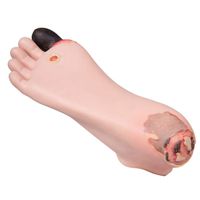 P14 - Description : Diabetic Foot Trainer - 3B Scientific Diabetic Foot Trainer - Each