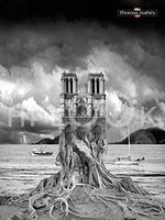 Hi-Look Microfiber Cleaning Cloth - Stumped