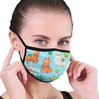 Mouth Masks for Dust Protection Anti Face Mask Washable Earloop Mask Llama Cactus