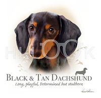 Hi-Look Microfiber Cleaning Cloth, dog design - Black and Tan Dachshund