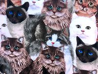 'NUGGLEBUDDY New! Microwavable Moist Heat & Aromatherapy Organic Rice Pack. Premium CLASSIC CATS Fabric. UNSCENTED!