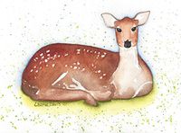 "Mama Deer" - 5 Watercolor Note Card Set 4.25" X 5.5" with Envelopes