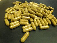 Epimedium Horny Goat Weed Extract Powder 400 mg x 500 Capsules, 20% Icariin, for Men Health