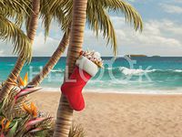 Hi-Look Microfiber Cleaning Cloth - Island Holiday