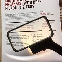 LRX-200 Lighted/ Illuminated 2"X4" Rectangular Magnifier Loupe by Electro-Optix