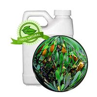 100% Pure & Natural Golden Jojoba Oil (Simmondsia chinensis) - 32oz - Virgin, Unrefined, Superb Skin Moisturizer