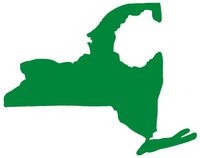 hBARSCI Adirondack Region Vinyl Decal - 5 Inches - for Cars, Trucks, Windows, Laptops, Tablets, Outdoor-Grade 2.5mil Thick Vinyl - Green