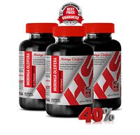 Moringa Organic Capsules 500 mg - Moringa OLEIFERA Leaf Powder 1200 MG 4:1 Extract - Burn Fat (3 Bottles)