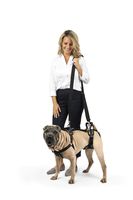 PetSafe CareLift Support Harness - Full Body Lifting Aid with Handle and Shoulder Strap - Great for Pet Mobility and Older Dogs - Comfortable, Breathable Material - Easy to Adjust - Medium