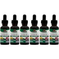 Nature's Answer Valerian Root Alcohol Free, 1 Ounces each (Value Pack of 6)