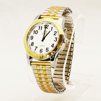One-Button Talking Watch with Alarm - 2 Tone Silver/Gold-Male-Expansion Band