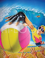 Hi-Look Microfiber Cleaning Cloth - Beach Vollyball