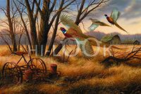 Hi-Look Microfiber Cleaning Cloth - Prairie Wings