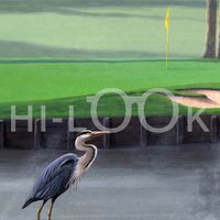 Hi-Look Microfiber Cleaning Cloth - Heron