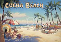 Hi-Look Microfiber Cleaning Cloth - Cocoa Beach