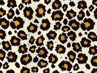 Verazui Safari Leopard Pack of 5 Animal Print Gift Grade Tissue Paper Sheets 15" x 20"