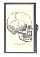 Human Skull Victorian Gothic Horror Graphic Decorative Pill Box