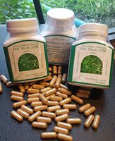 Andrographis Paniculata 100 Capsules, Fah Talai Jone, King of Bitterrs, Creat, Thanyaporn, Thailand by Thanyaporn Herbs