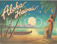 Hi-Look Microfiber Cleaning Cloth - Aloa Hawaii