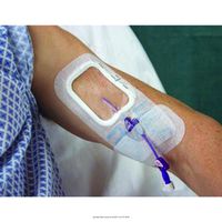 SorbaView 2000 Window Dressing, Sorbaview 2000 21-2X3in, (1 CASE, 100 EACH)