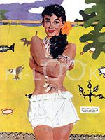 Hi-Look Microfiber Cleaning Cloth - The Exile of Paradise Island (September 1954)