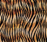 Tiger Stripe Tissue Paper for Gift Wrapping 20"x30" Sheets Animal Print Safari - 5ct