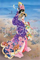 Hi-Look Microfiber Cleaning Cloth - Yugiri