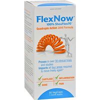 Flex Now Joint Formula 90 SFG