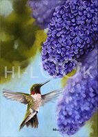 Hi-Look Microfiber Cleaning Cloth - Ruby and Lilac