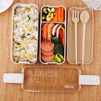 HOTUEEN Durable Portable Multifunctional Three Layered Partition Lunch Box Bowls