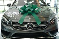 CarBowz Big Green Car Bow, Giant 30" Bow, Non Scratch Magnet, Weather Resistant Vinyl